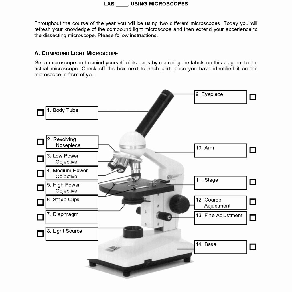 Microscope Parts And Functions Worksheet