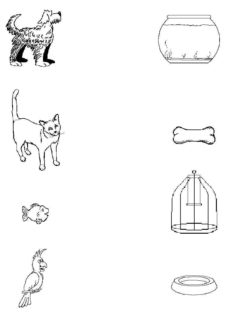 Pet Match
