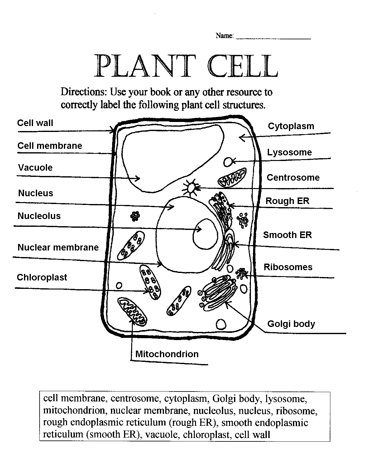 Plant Cell Parts Worksheet With Word Bank