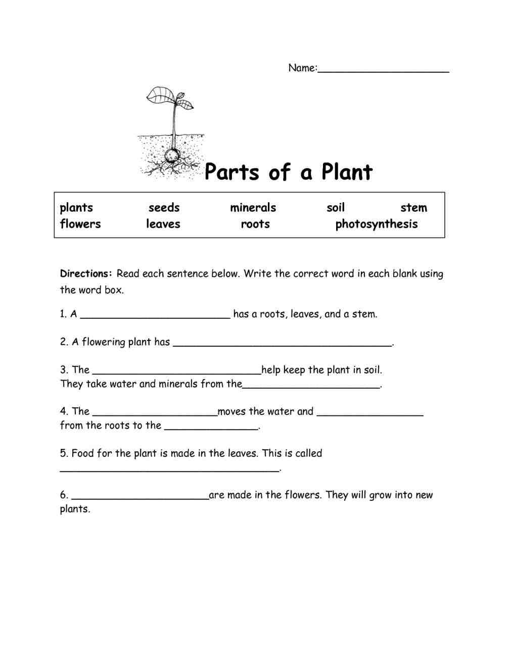 Science Worksheets For Grade 3 For Plants