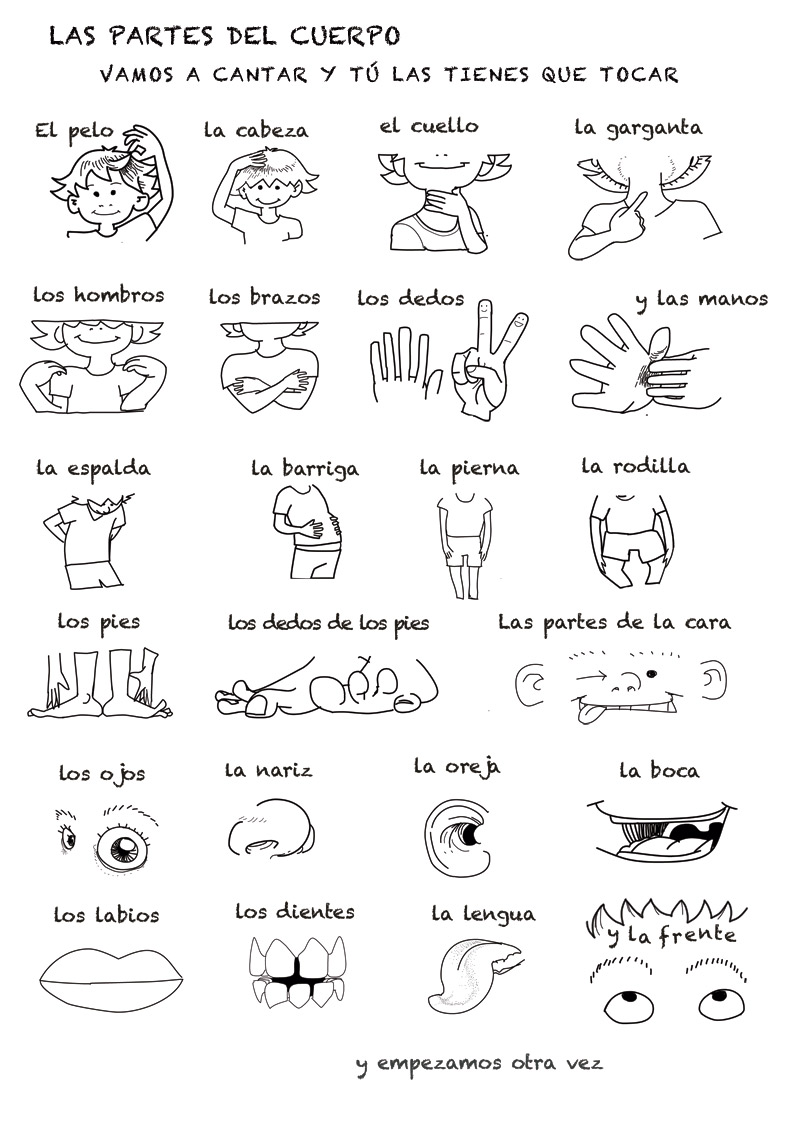 Spanish Language Song About Parts Of The Body
