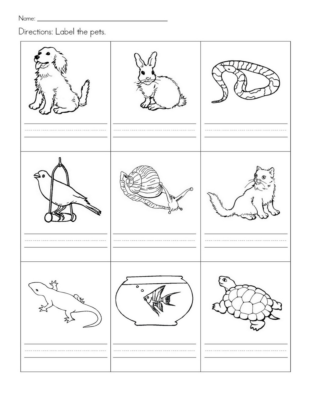 Stempelkaart Pets Preschool Theme Worksheets Samples Pet Animals Habitat