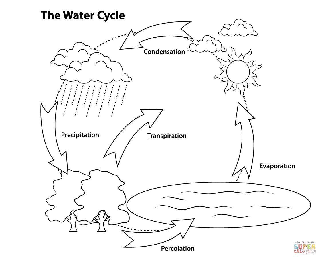 Watercycle Diagram State Map Of North America