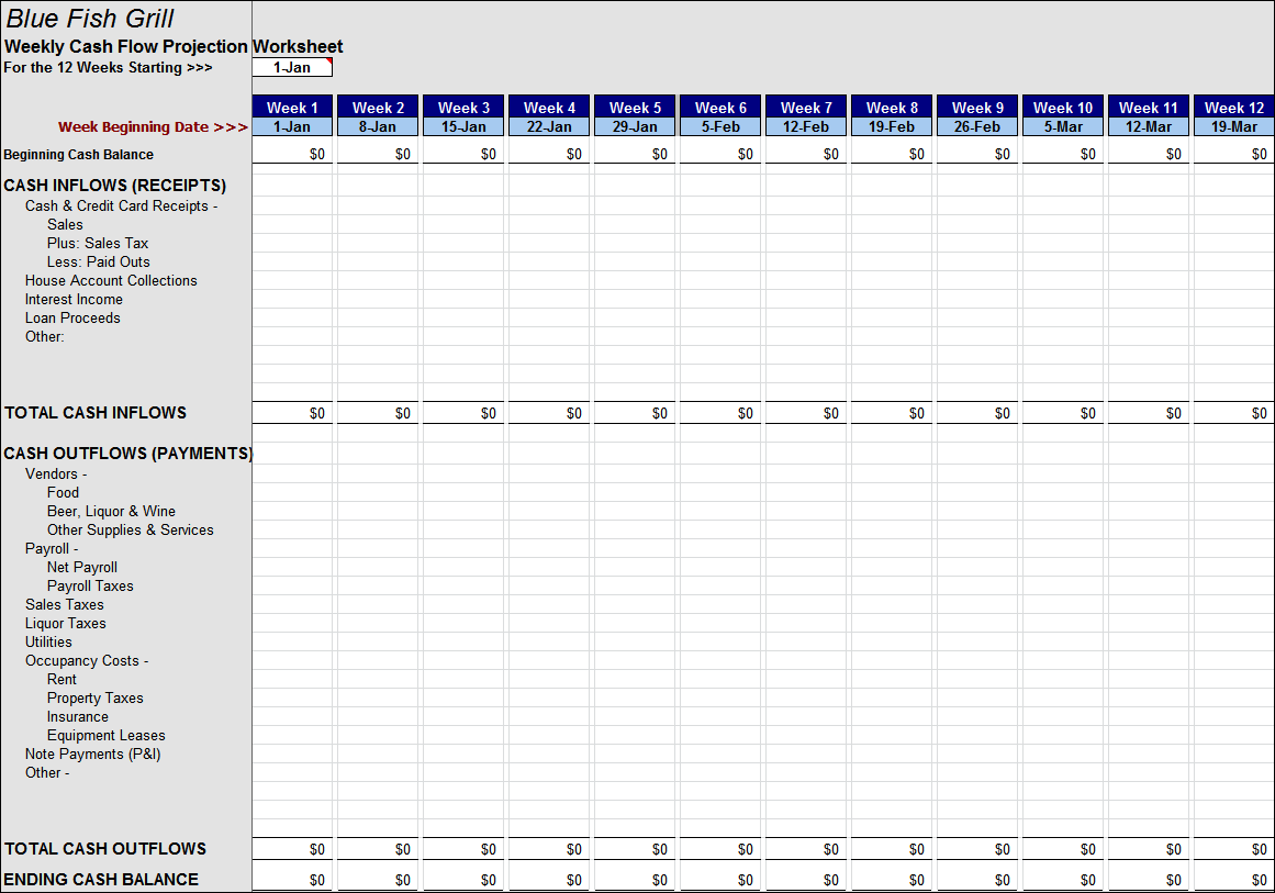 Weekly Cash Flow Worksheet