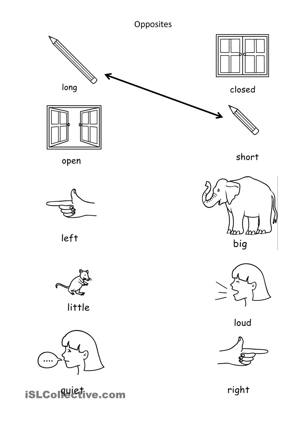 Worksheets For All