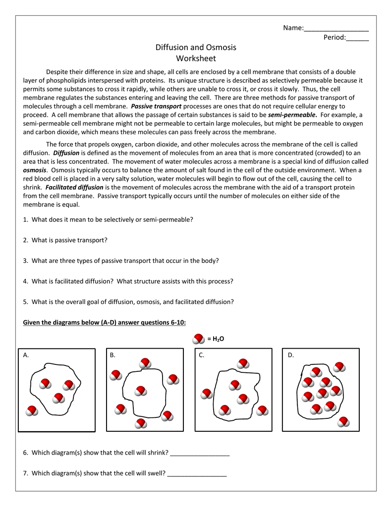 Worksheets For All