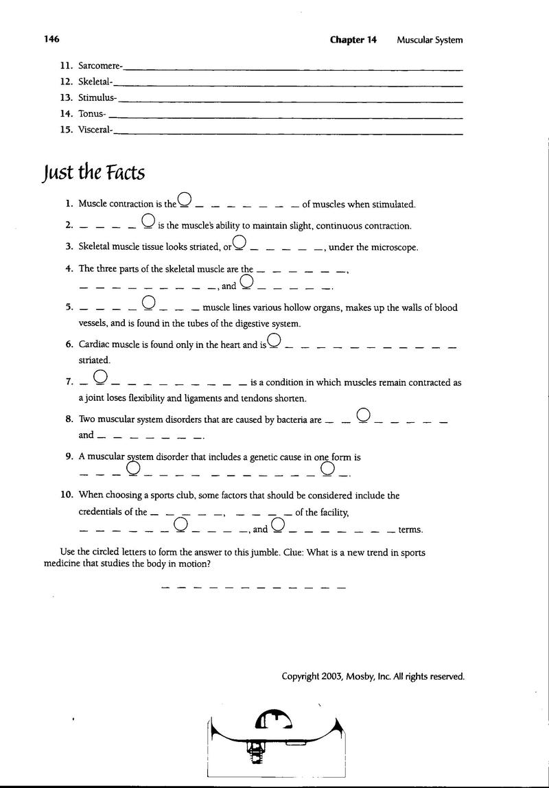 Worksheets For All Worksheets For All
