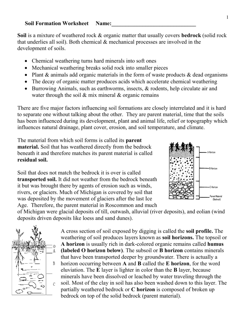 Worksheets For All