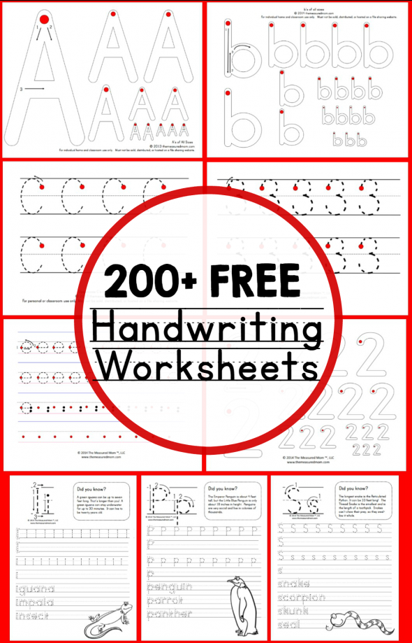 Worksheets For All