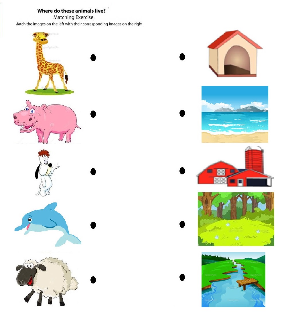 Worksheets For All