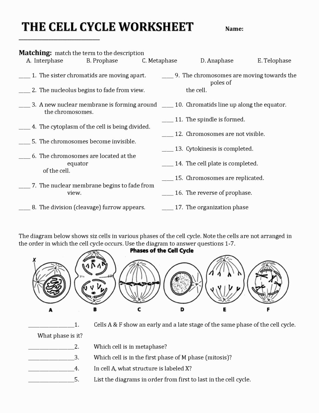 6th Grade Science Cells Worksheets Worksheets For All