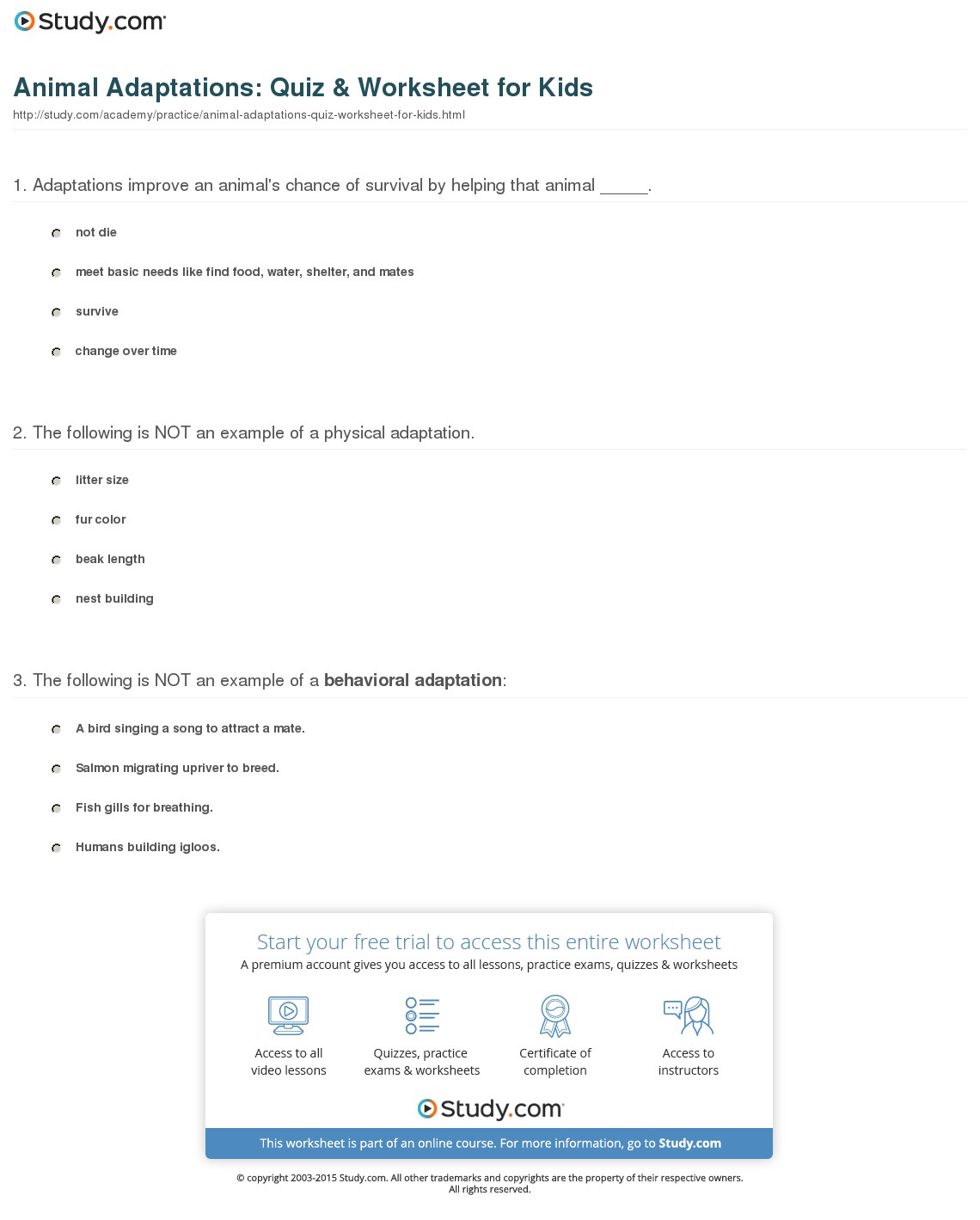 Animal Adaptations  Quiz & Worksheet For Kids