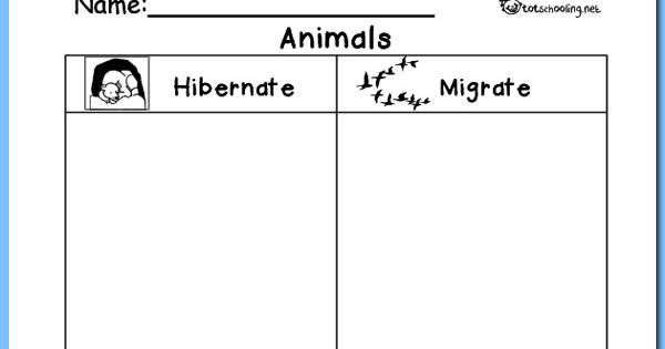 Animal Migration Printable Preschool Worksheets  Animal  Best Free