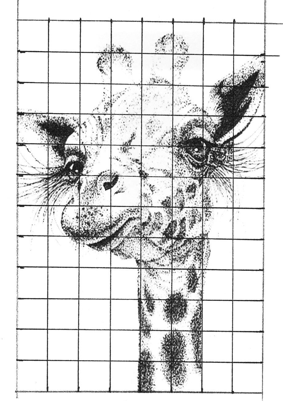 Art Grid Drawing Worksheets Math Worksheet 1000 Images About Art