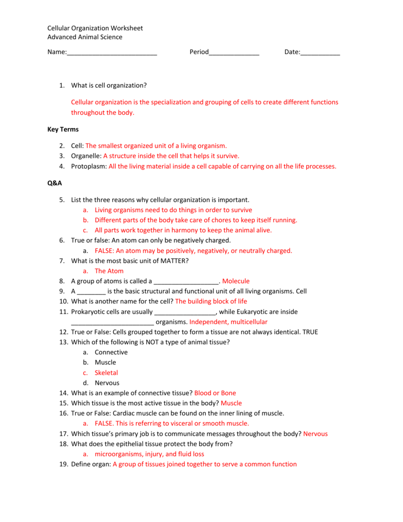 Cellular Organization Worksheet Advanced Animal Science Name