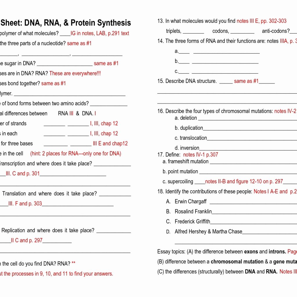 Chapter 12 Dna And Rna Worksheet Answers