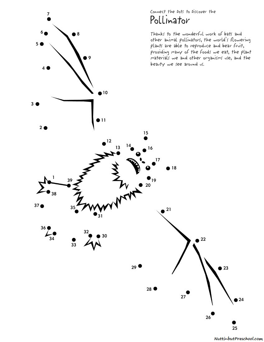 Dot To Dot Bat Worksheet