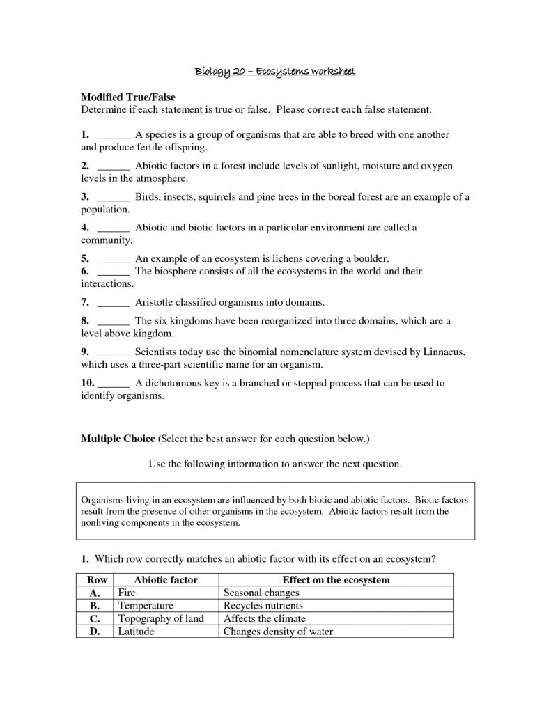 Ecosystem Worksheet Middle School Worksheets For All