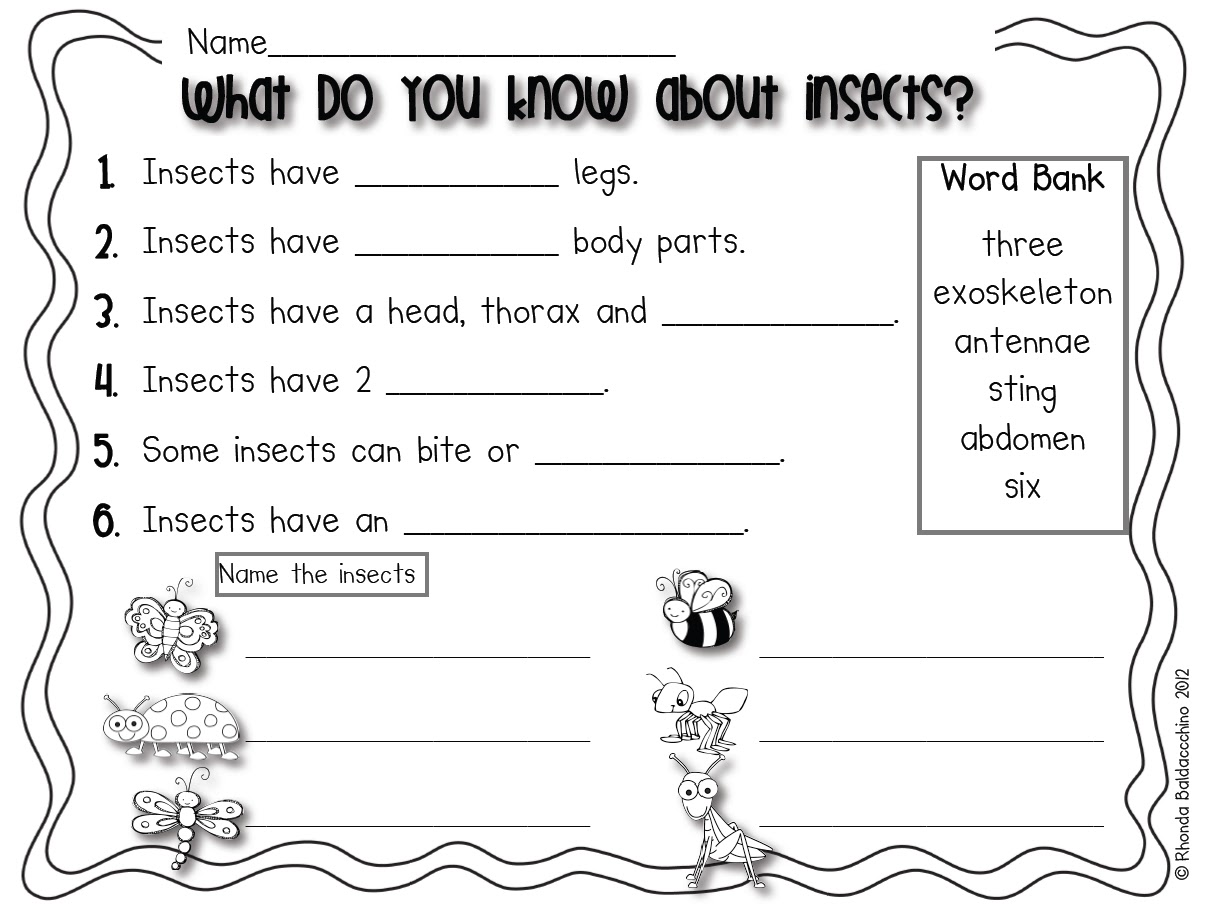 First Grade Insect Activities