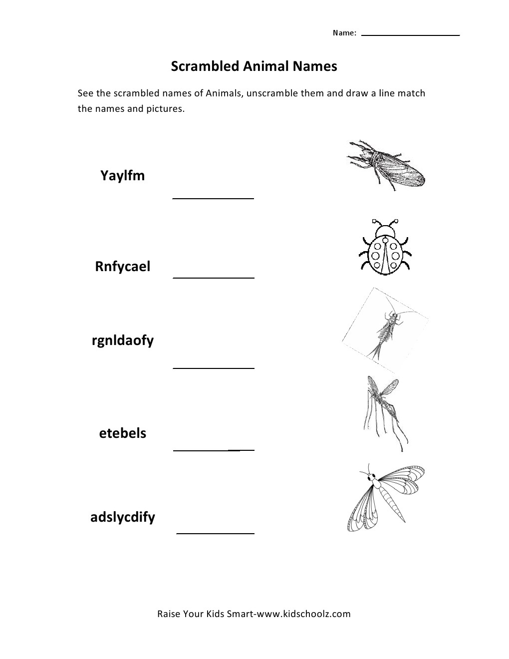 Free Naming Words Worksheets For Grade 1