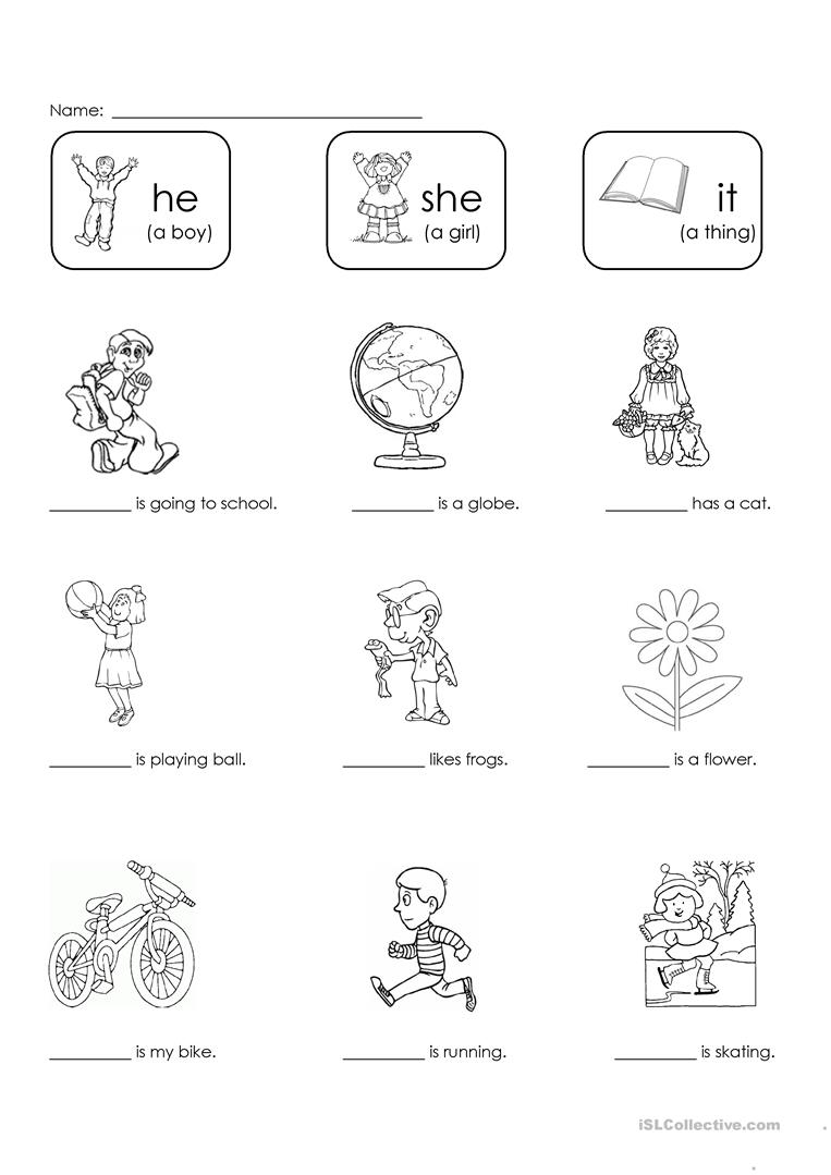 He, She, Or It  Worksheet