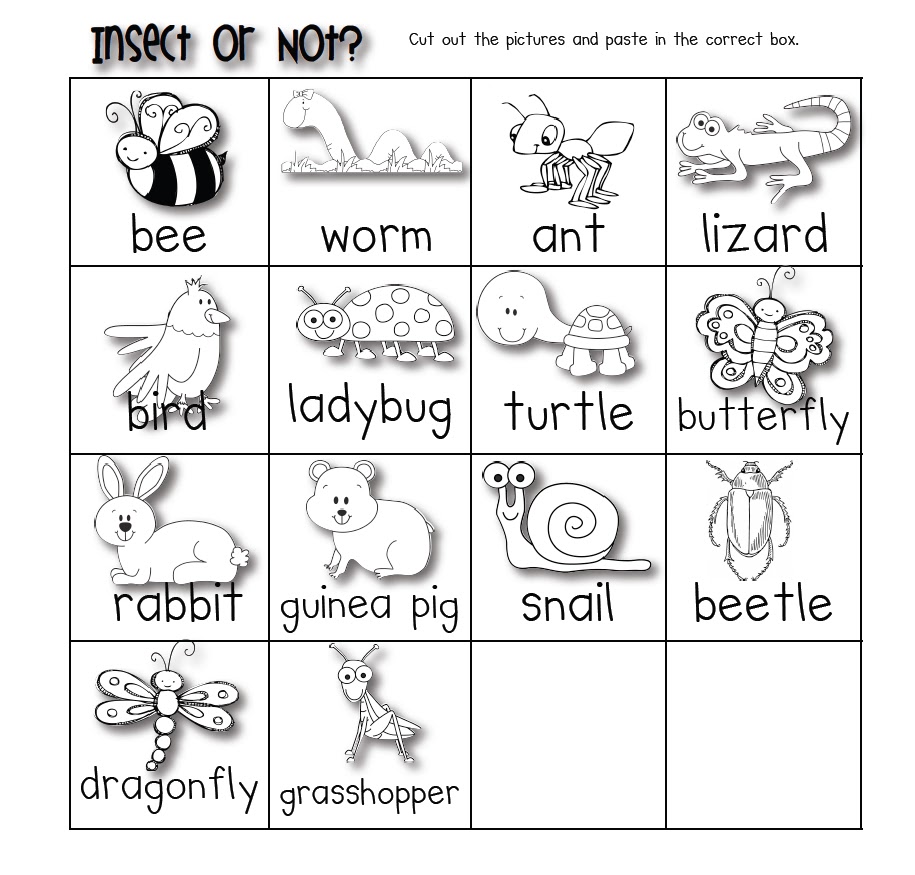 Insect Worksheets For Kindergarten