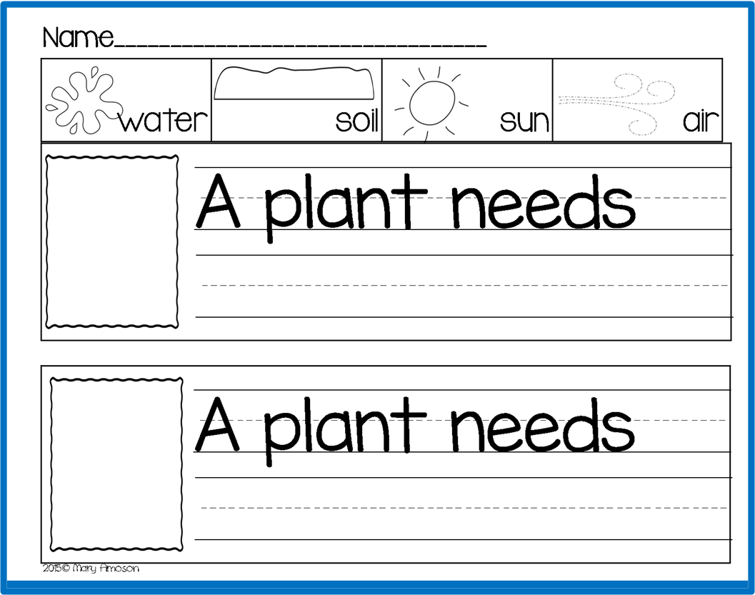 Kindergarten Plant Worksheets