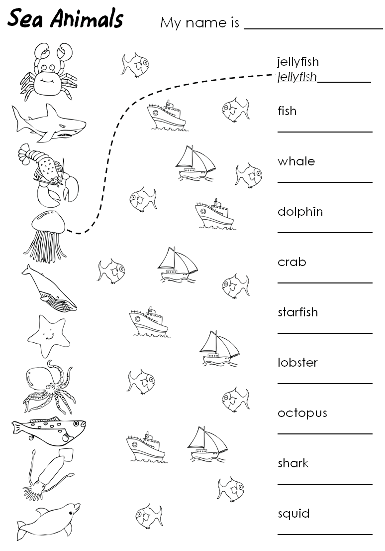 Ocean Animals Primary