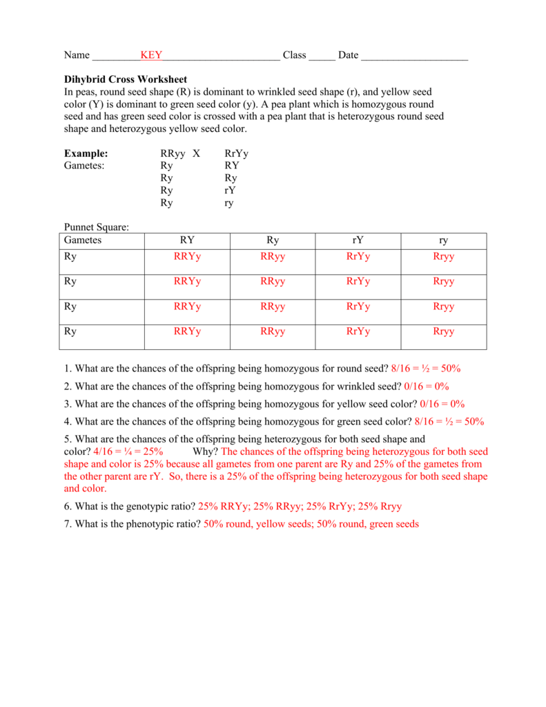 Pictures Dihybrid Cross Worksheet Answers