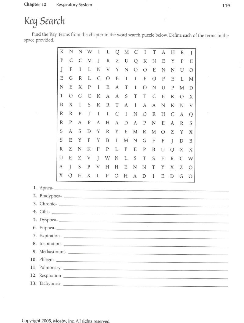 Respiratory System Worksheets High School Worksheets For All