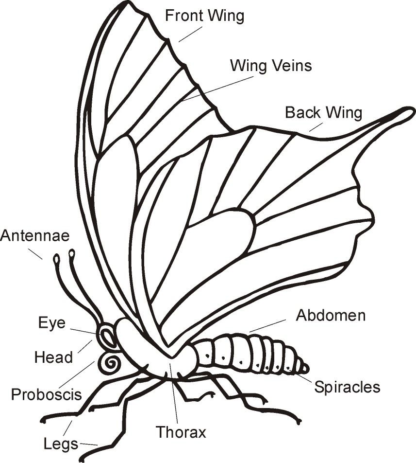 Science Worksheet