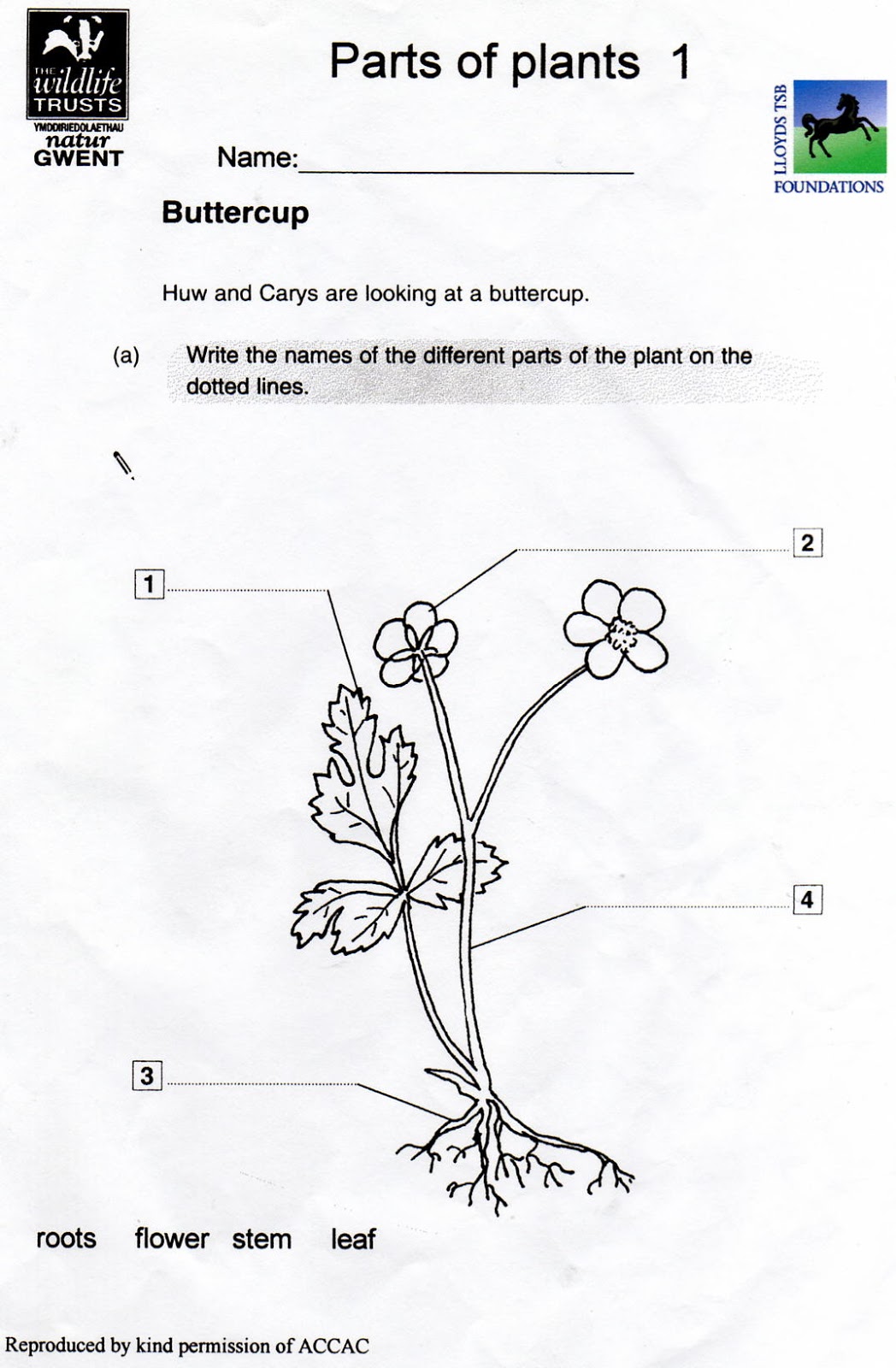 Science Worksheets For Grade 1 On Plants