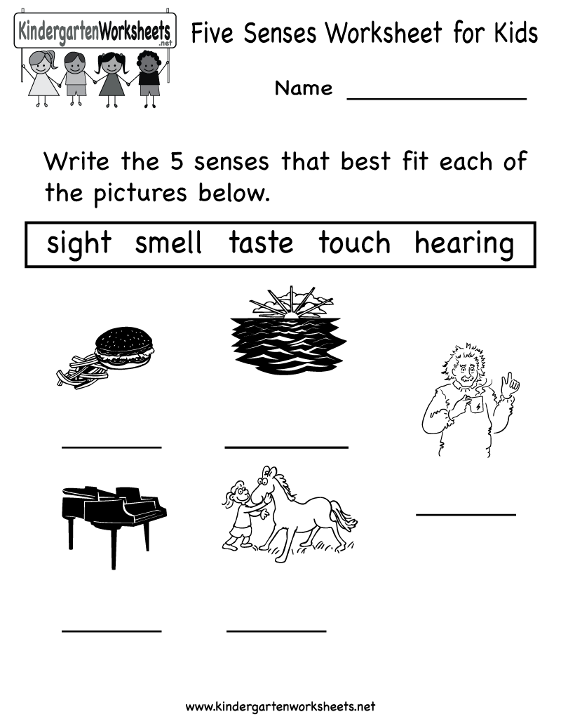 Science Worksheets For Kindergarten Free Worksheets For All
