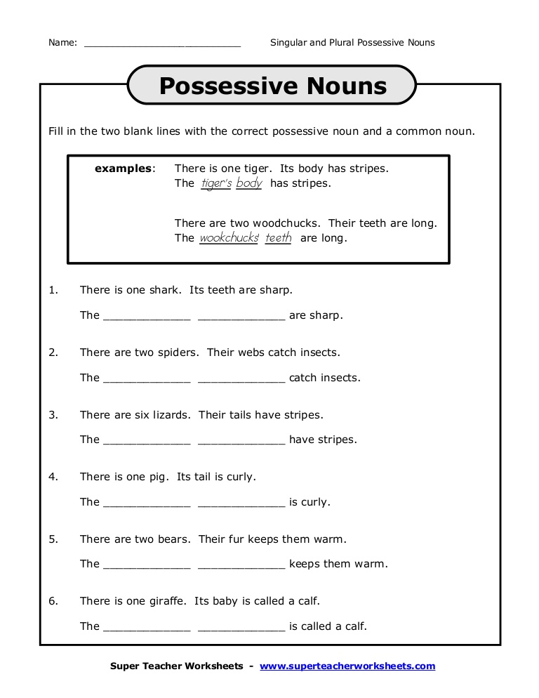 Singular Possessive Nouns Worksheets 4th Grade The Best Worksheets