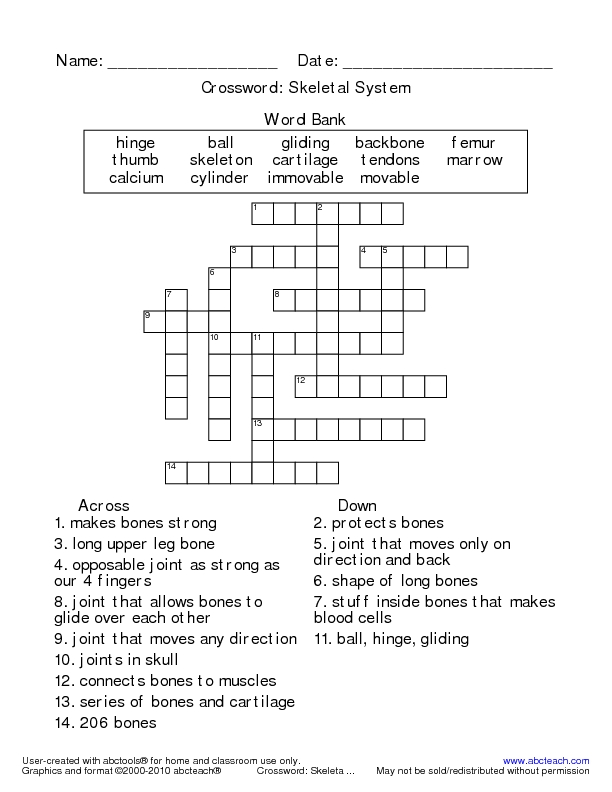 5th Grade Skeletal System Worksheets