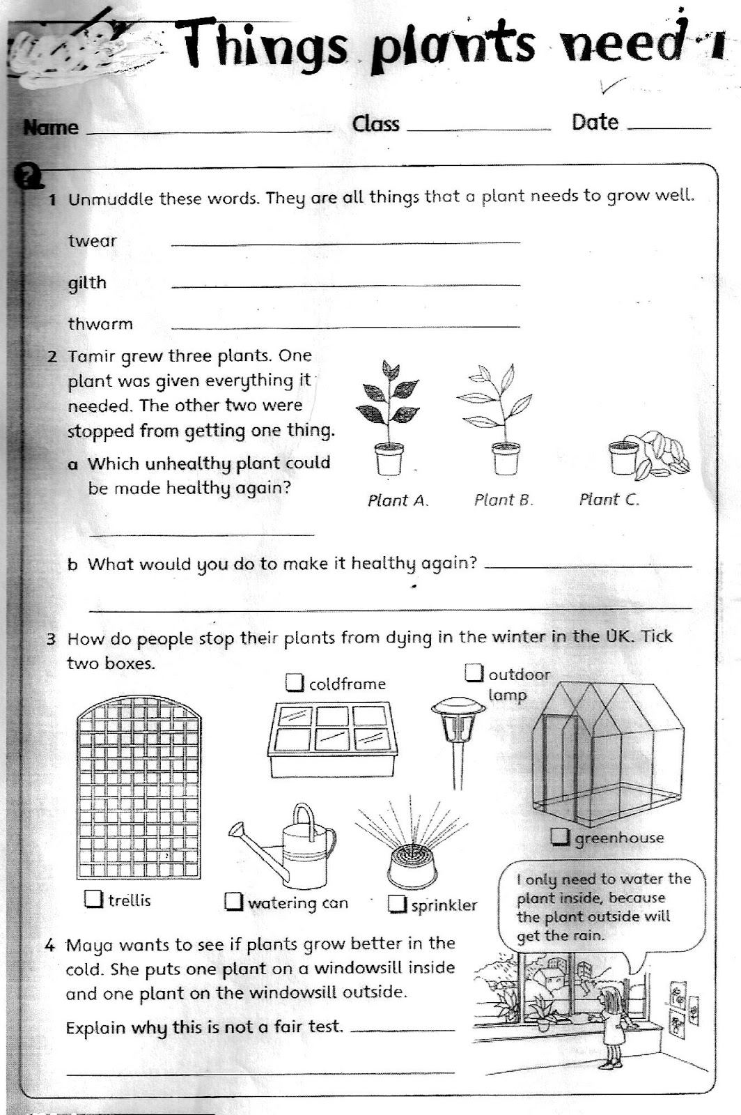 The City School  Grade 3 Science Reinforcement Worksheets