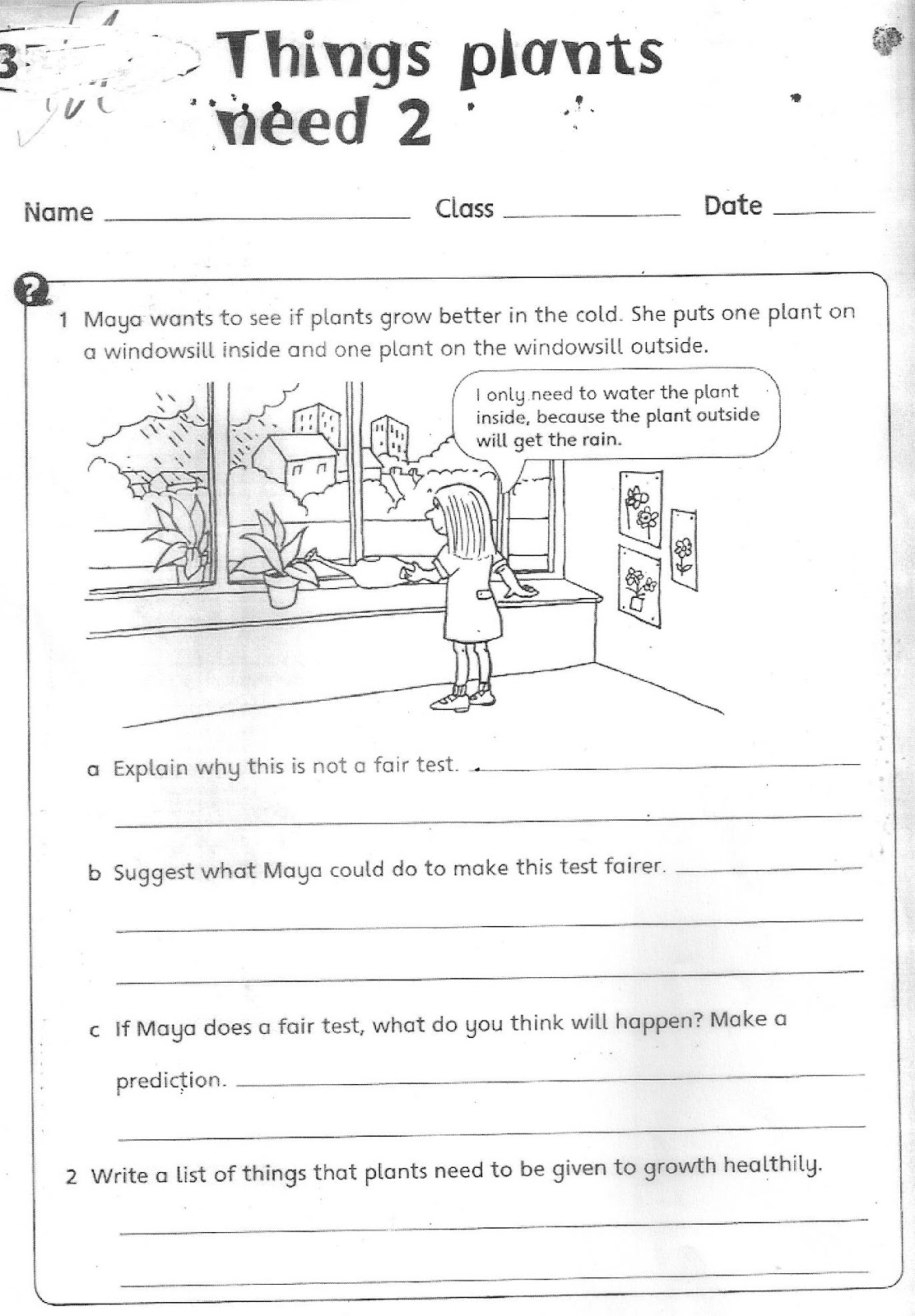 The City School  Grade 3 Science Reinforcement Worksheets
