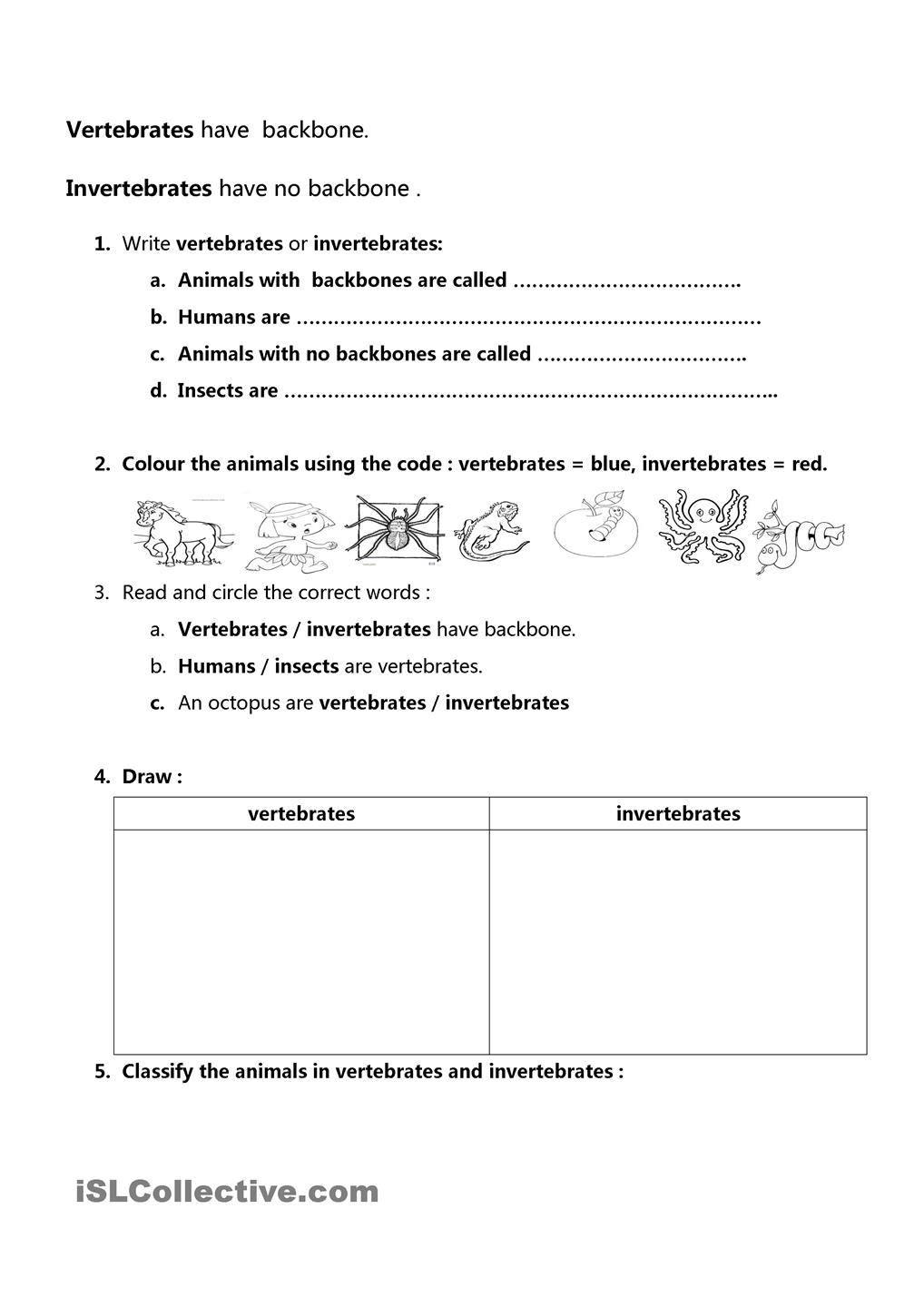 Vertebrates And Invertebrates