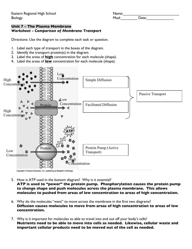 Worksheet