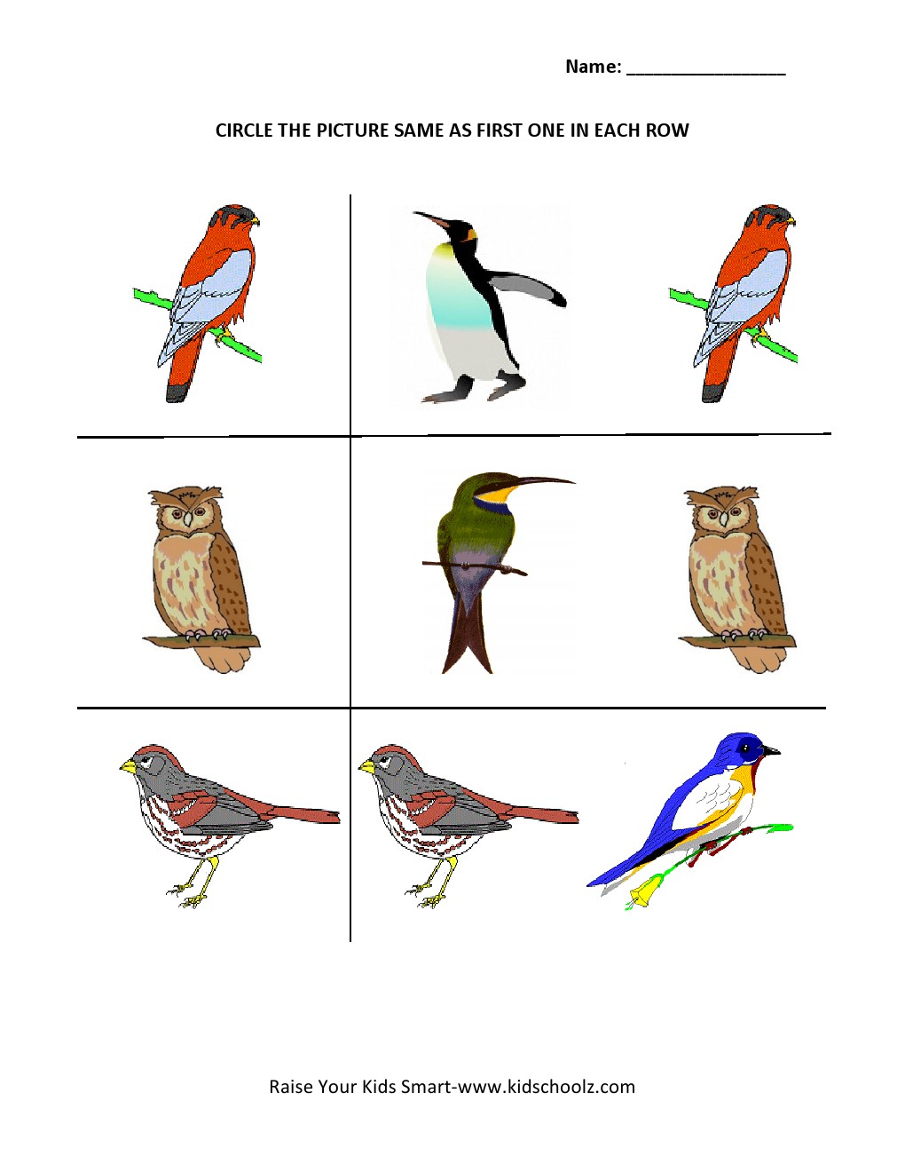 Worksheet  Bird Worksheets  Grass Fedjp Worksheet Study Site