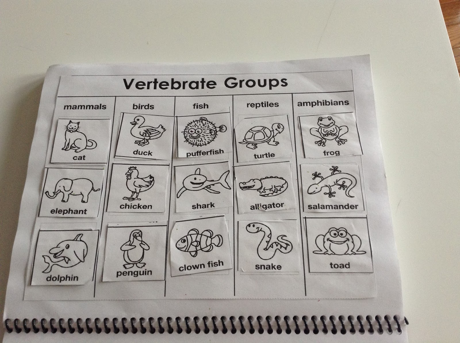Worksheet  Invertebrates Worksheet  Grass Fedjp Worksheet Study Site