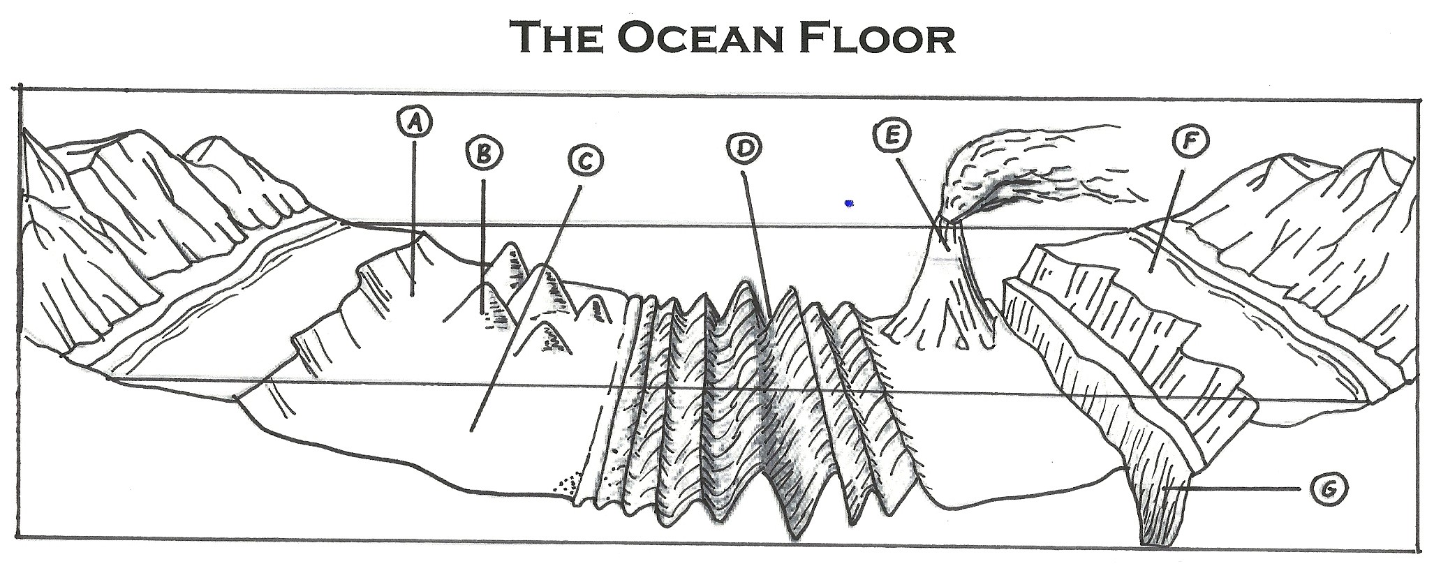 Worksheet  Mapping The Ocean Floor Worksheet  Grass Fedjp