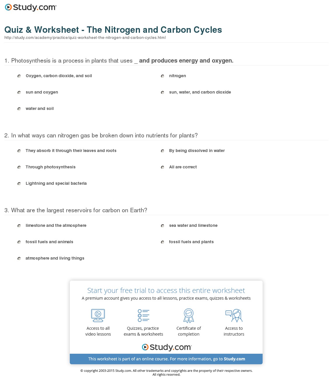 Worksheet  The Nitrogen Cycle Worksheet  Brunokone Worksheet Study