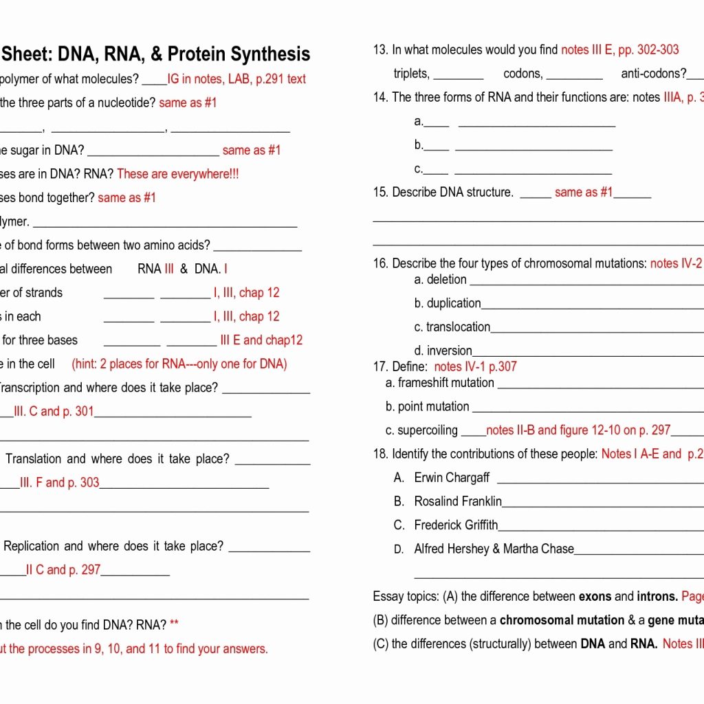 dna-rna-and-protein-synthesis-worksheets-answer-key