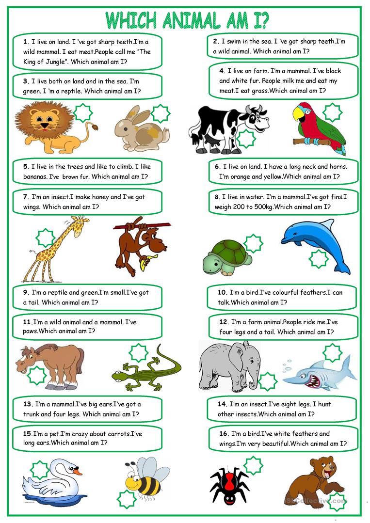 19 Free Esl Describing Animals Worksheets