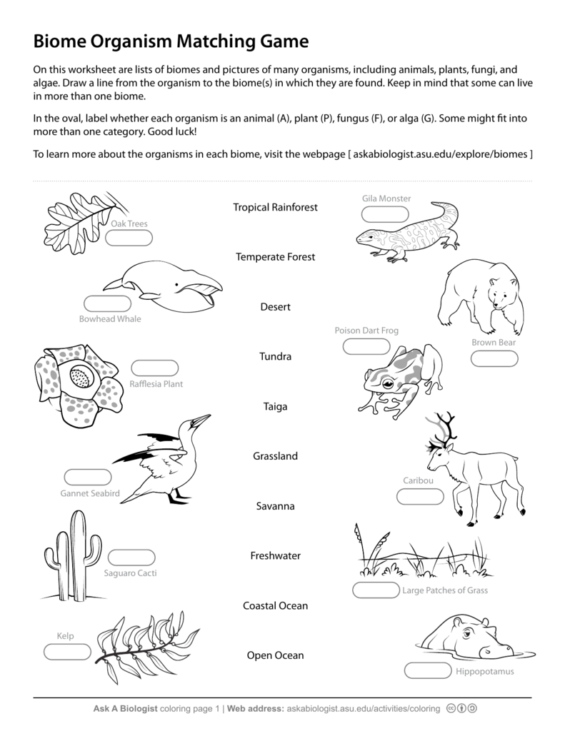 Ask A Biologist