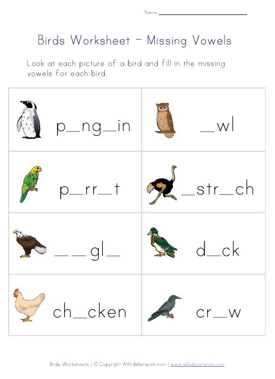 Bird Worksheets