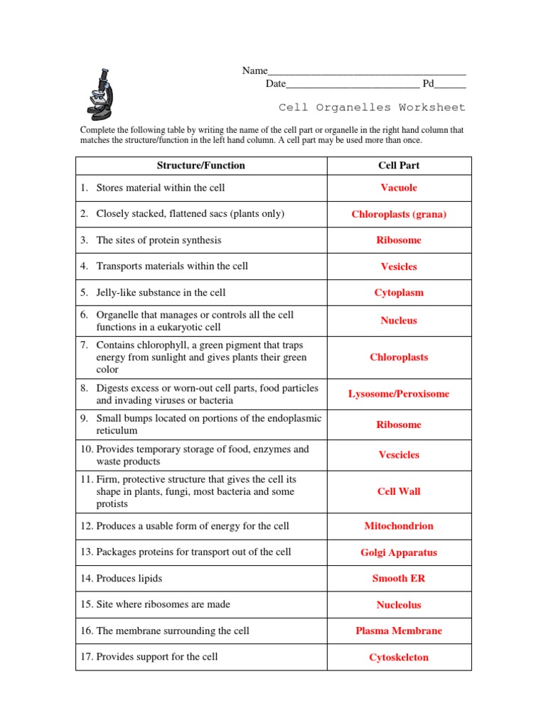 Cells Worksheet Answers Worksheets For All