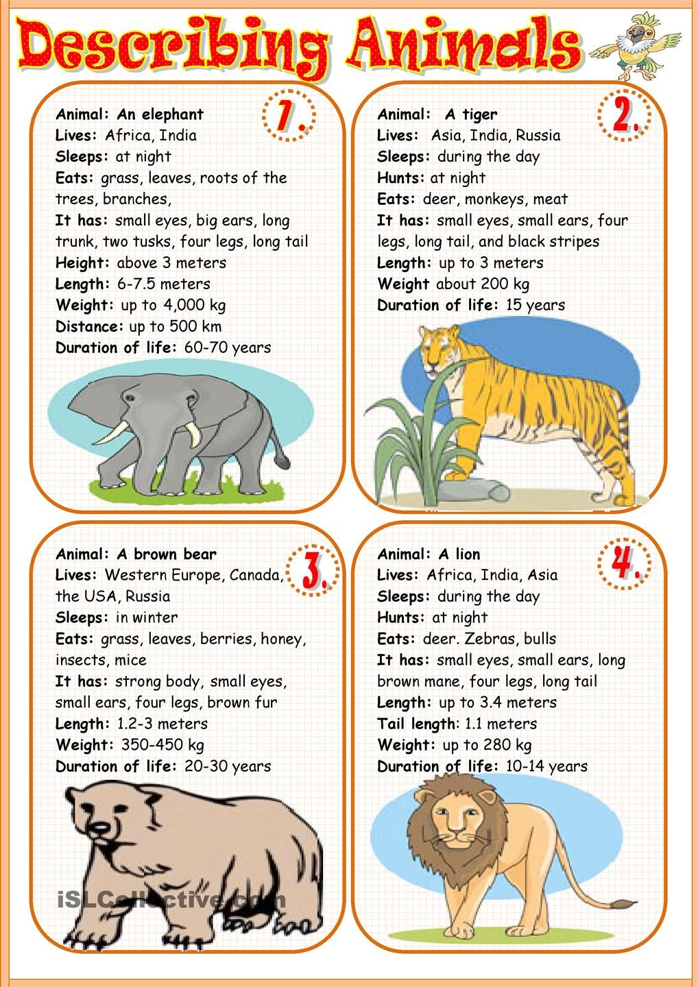 Describing Animals 1