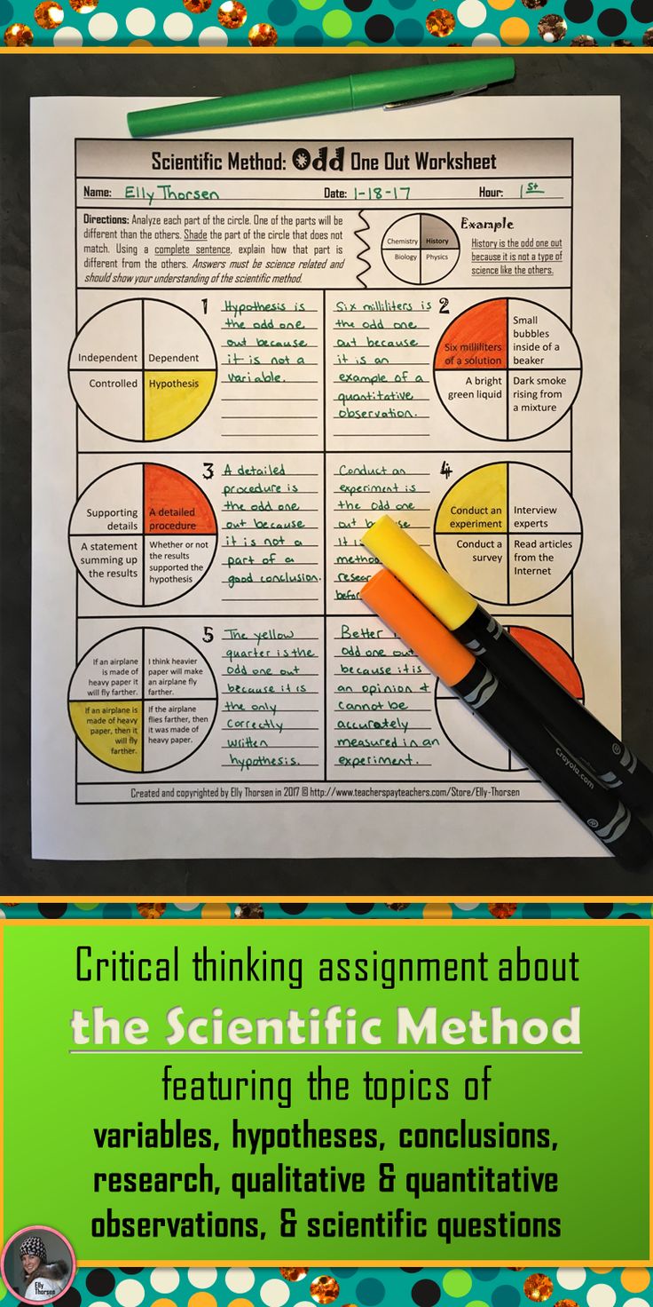 Essay On The Scientific Method 17 Best Ideas About Scientific